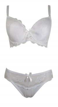 D cup lace bra set with panties white