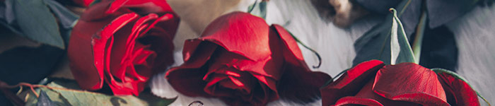valentine's day wholesale lingerie