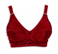 E cup large size bra 