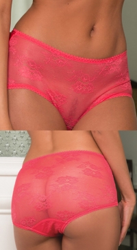 lace brief