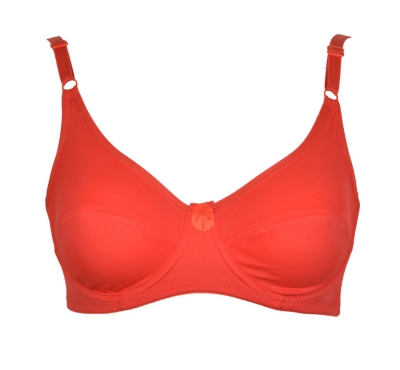 Foamless b cup bra