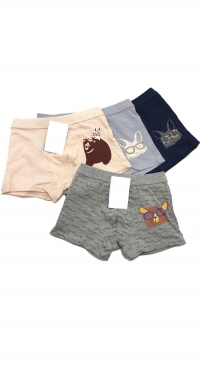 Boy's cotton boxer briefs (2/4-4/6-6/8-10/12 years old)
