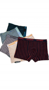 boy's brief in cotton (6/8 - 8/10 - 10/12 years)