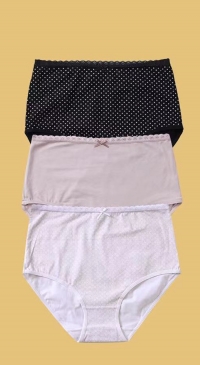 Plus size cotton panties