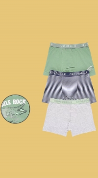 Boys 100% cotton boxers (7 to 14 years old)
