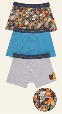 Novelty boxers for children (7 to 14 years old)