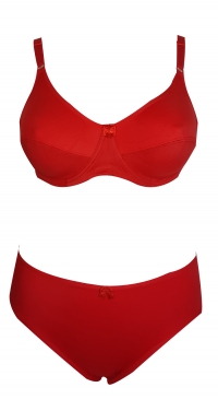 D cup bra + panties