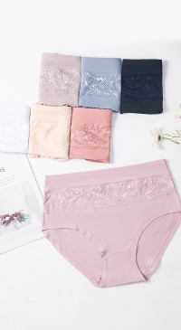 Plus size lace panties