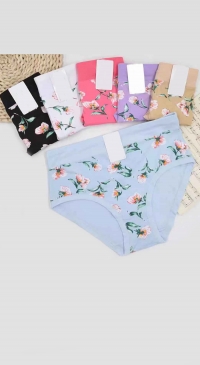 Plus Size Flower Print Panties