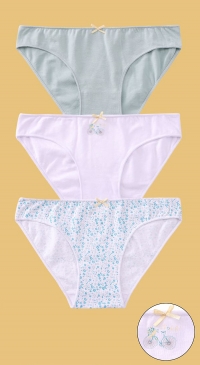 cotton briefs