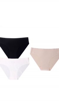 Microfiber panties seamless