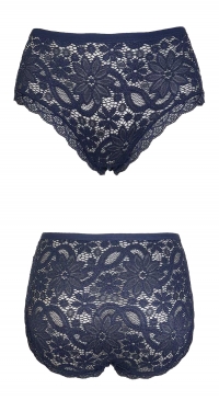 Plus size all lace panties