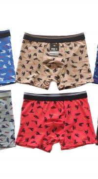 Printed men's boxers