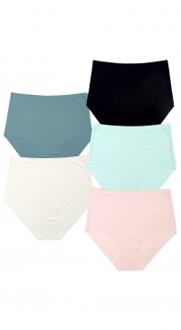 Seamless microfiber briefs
