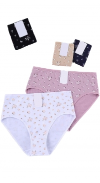 Plus size panties (from L to 3XL)