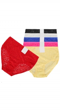 Plus size lace panties