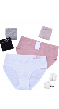 Cotton panties XL-XXXL