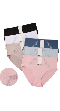 Plus size cotton and lace panties 2XL-3XL-4XL-5XL