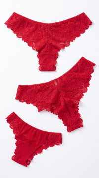 Floral Lace Brazilian Panties – Size Assortment S-M-L-XL