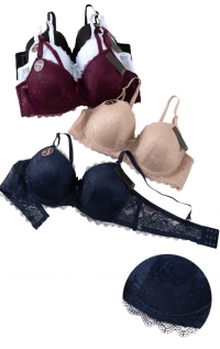 D-cup lace bra – Autumn/Winter colors